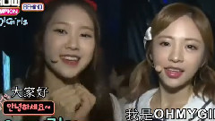 Show Champion Behind