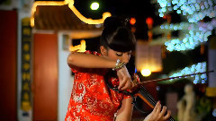 The Moon Represents My Heart (Violin Solo)