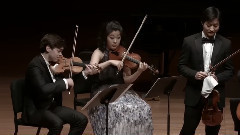 Schubert Rondo In A Major For Violin And String Quartet, D 438