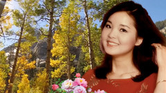 假如我是真的