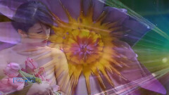 Flor Solitaria