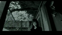 情歌手