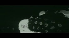 China White (Clean Version)