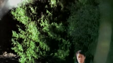 如果可以再见你