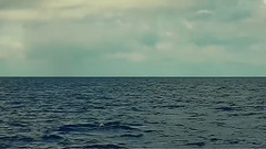 Sea Sky