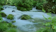 绿野仙踪