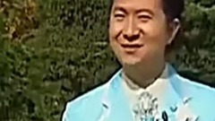 两只大象