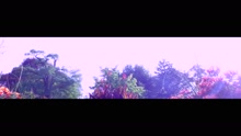 Courage (Official Video)