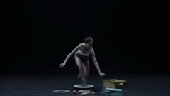 THE BALLET BODY