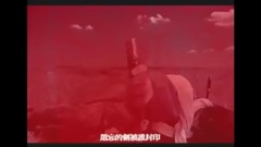 杀破狼