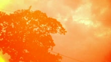 Mat Kearney - Undeniable (Video)