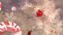 Why Couldn't It Be Christmas Everyday? (Video)