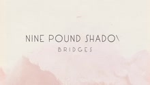 Bridges (Pseudo Video)