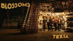 Blossoms - Texia