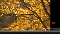 Autumn Leaves