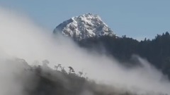 中国台湾雪霸国家公园 樱雪奇缘 春游武陵樱花季