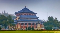 Chinese Forces