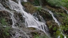 ENYOVA MOME