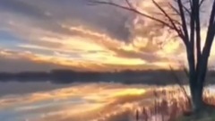 秋意浓