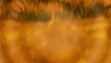To