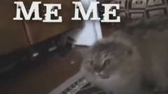 NONONONO