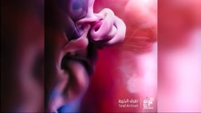 El Morabba3 - El Mokhtalifeen 试听版