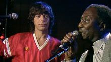 The Rolling Stones - Hoochie Coochie Man 现场版