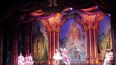 The Sleeping Beauty