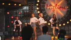 Trot Medley