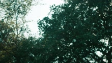 J. Cole - Wet Dreamz (Video)