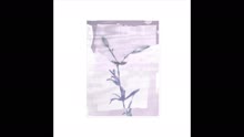 It's All in Vain (Lee Bannon Remix (Pseudo Video))