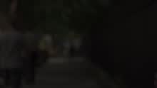 鲍勃·迪伦 - The