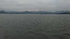西湖初夏