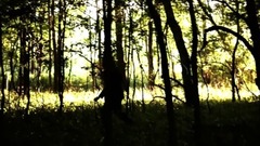The Pines