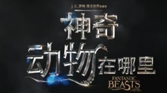 电影《神奇动物在哪里》