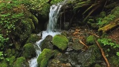 溪水颂歌