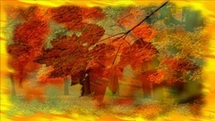 DREAMS OF AUTUMN