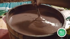 自然乐园CF