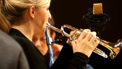 Italian Concertos