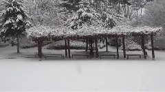 瑞雪 丰年