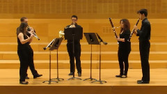 Wind Quintet In G Minor,Op.56 I.Allegro