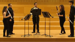 Quintet In D Major, Op. 95 II
