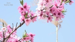 花的香味