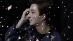 阳光的左左