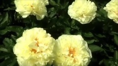 ПОТРЯСАЮЩАЯ МУЗЫКА