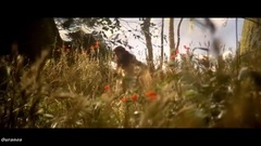 YANNI - Spirit of nature
