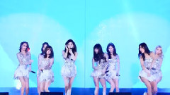 Hoot