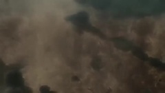 阿修罗
