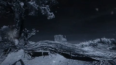 Winter Love