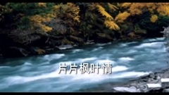 片片枫叶情